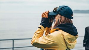 Vancouver Island Whale Watching