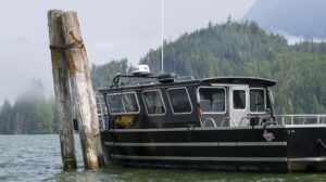 Whale Watching Boat - 12 passenger