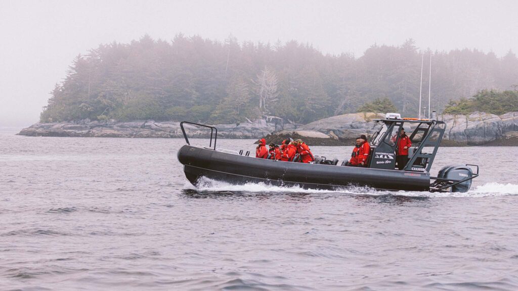 Whale Watching Boat - RHIB