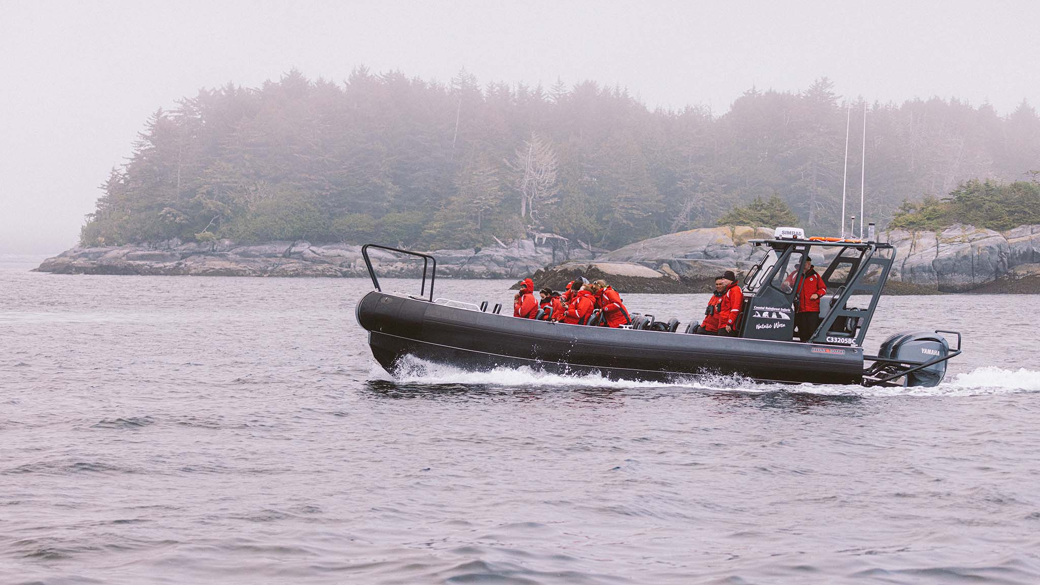 Selecting a Responsible Whale Watching Provider | Vancouver Island ...